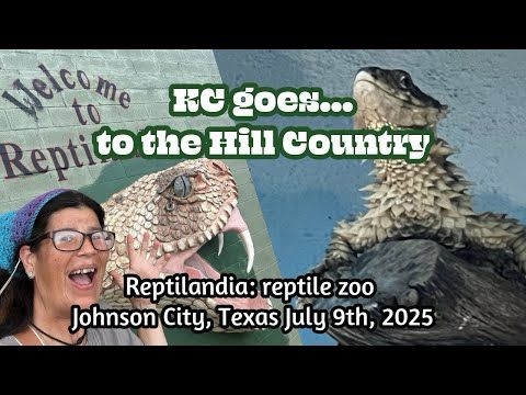 Kc goes to the Hill Country: Reptilandia, reptile lagoon in Johnson City, TX (July 9th, 2025)