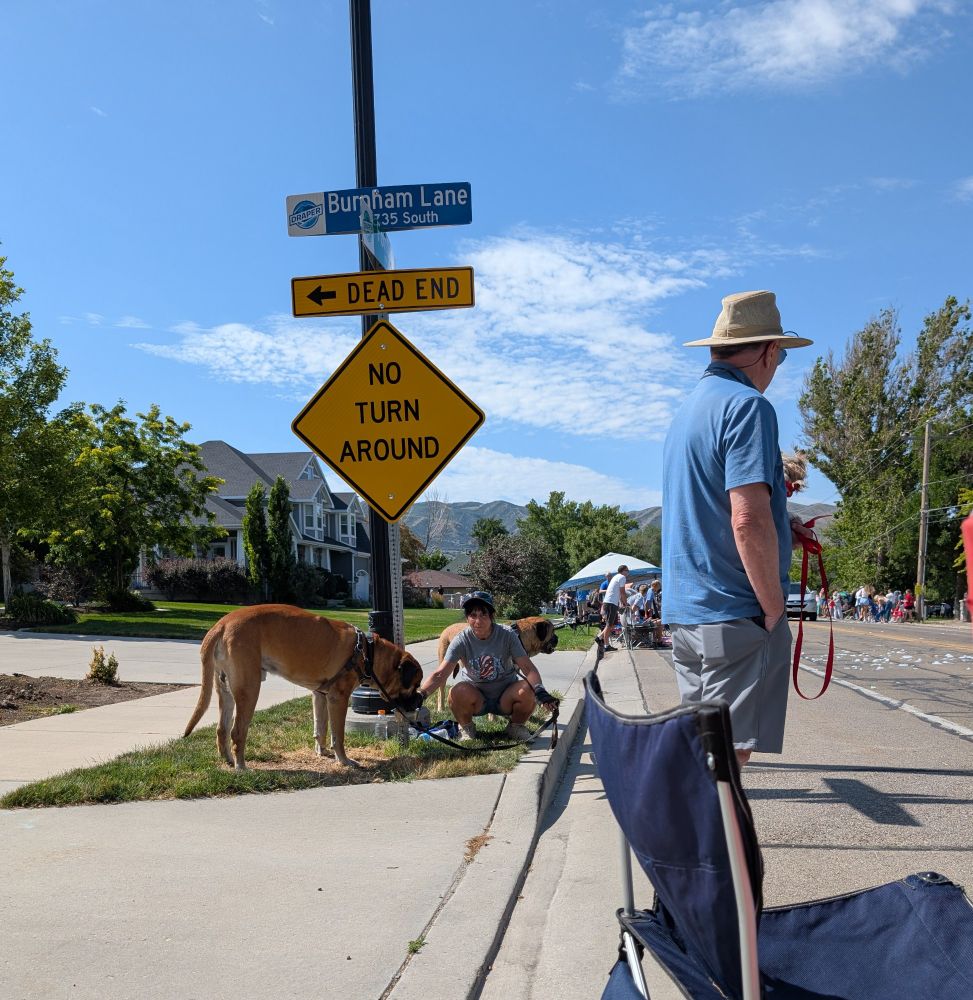 People watching a parade with a huge dog
