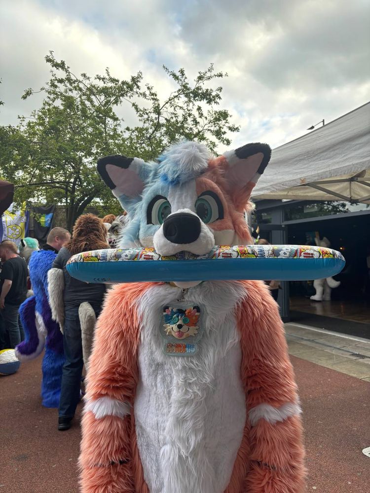 Orange and blue fox with a inflatable tube in his mouth