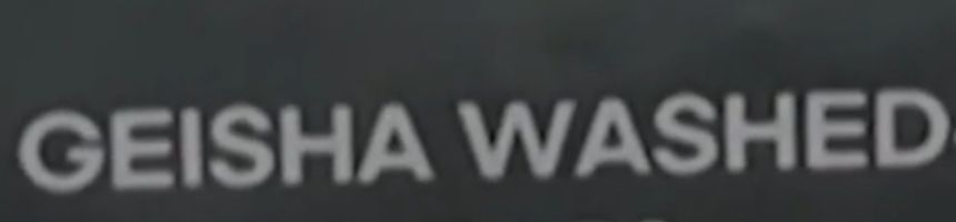 Geisha washed