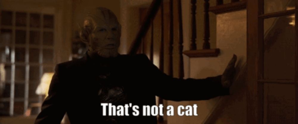 Captain Marvel Cat GIF