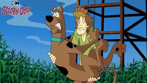 a cartoon of scooby doo carrying a man