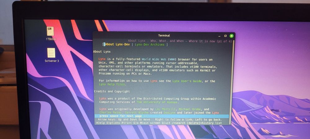 Tethercat's Linux desktop, running the solely text-based Lynx web browser.