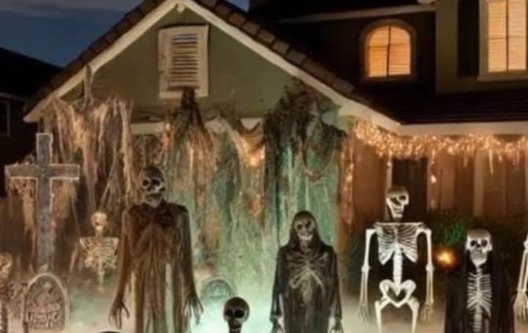 Haunted theme houses are fun. I love the creativity and the detail some people put into it. 
