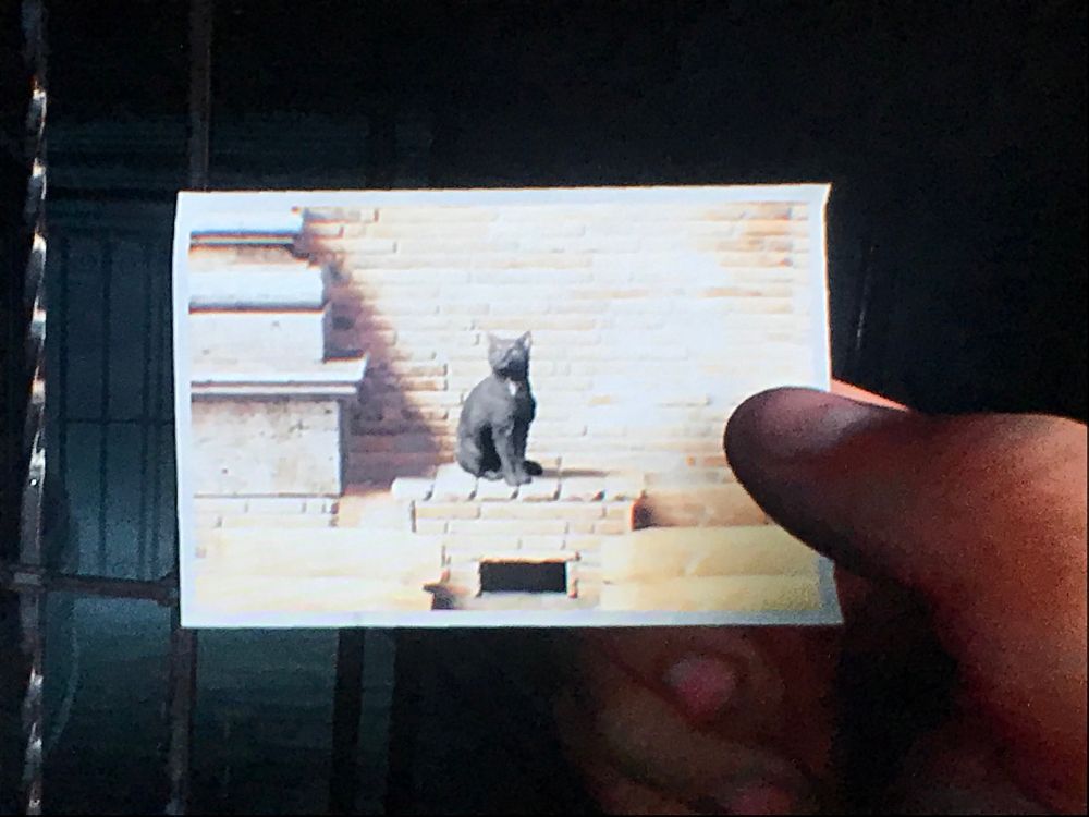 Picture of Signor Smushki in Indiana Jones and The Great Circle 