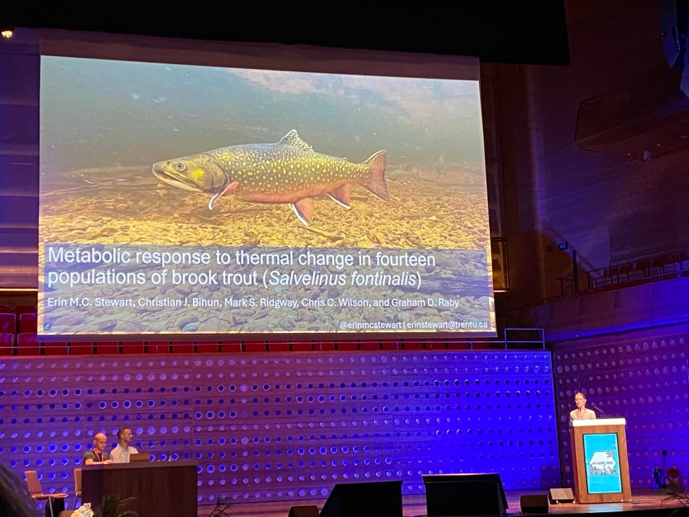 A scientist presents her title slide on a large stage, it features a beautiful picture of a brook trout. 