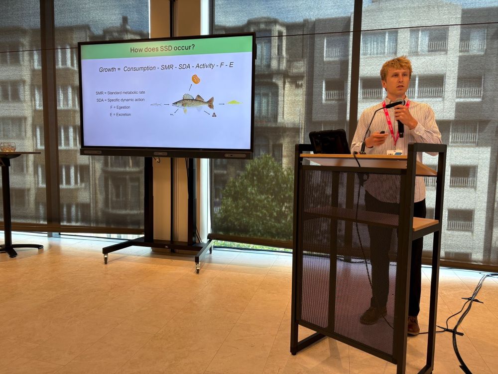A scientist presenting a slide with a model for fish energetics