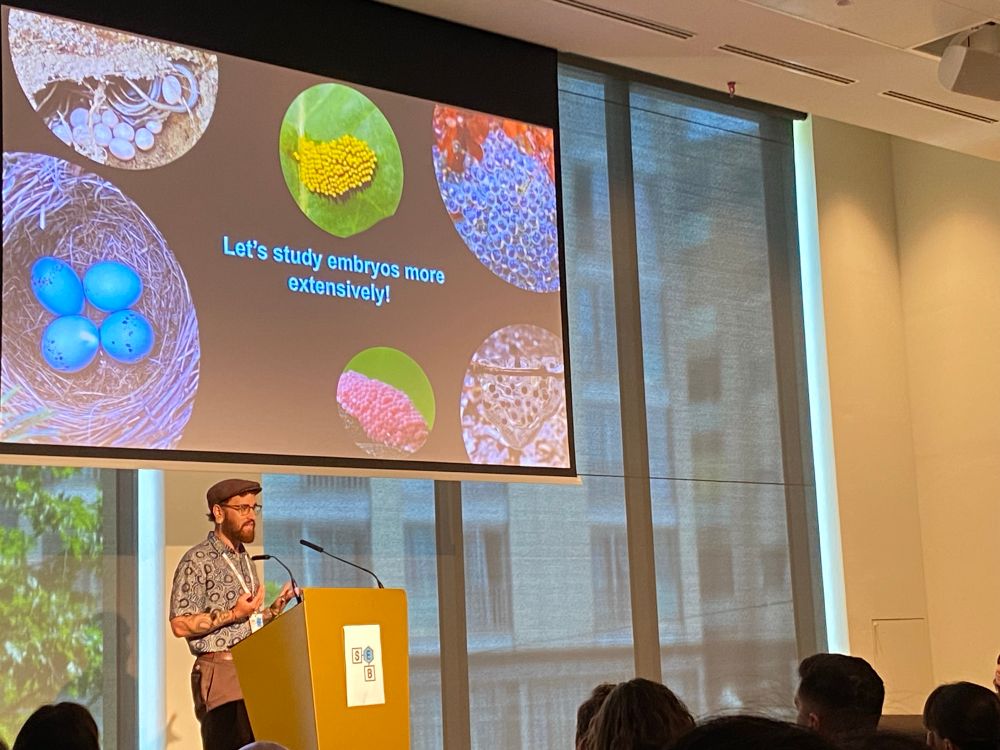 A scientist presents a slide which says “Let's study embryos more extensively!”