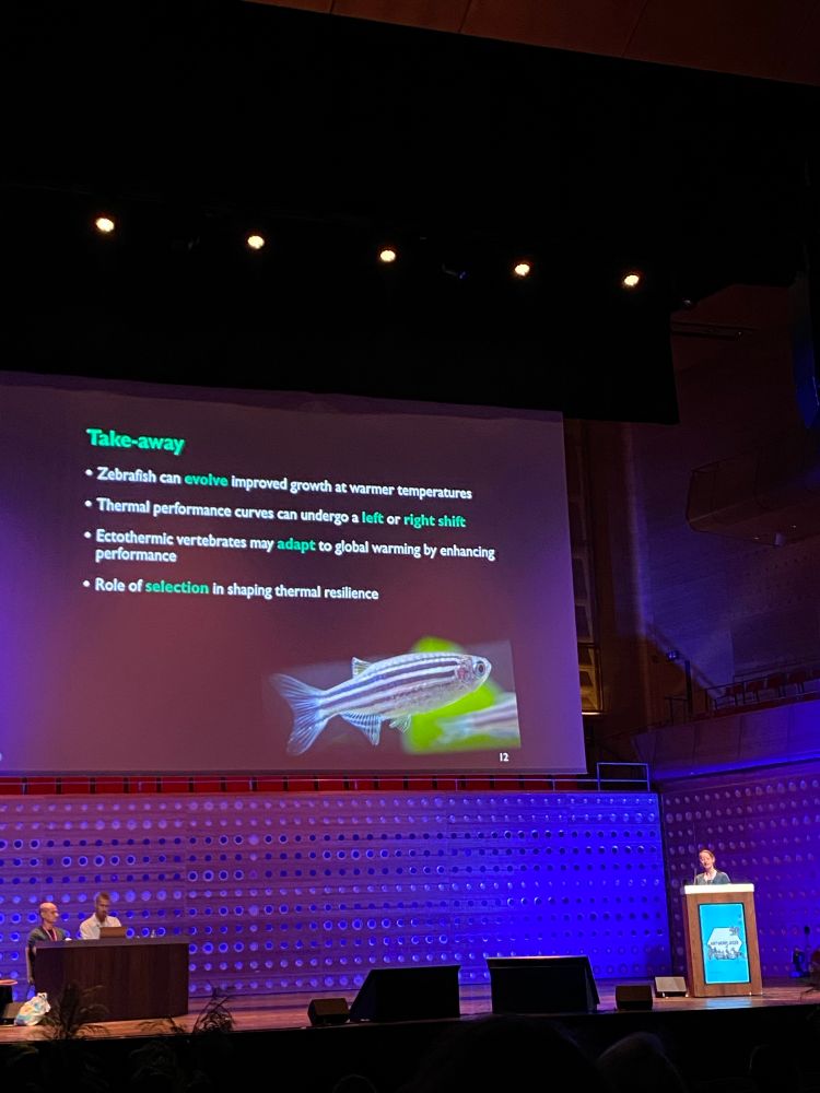 A scientist presents her take-away slide on a large dark stage. It reads: Take-away
• Zebrafish can evolve improved growth at warmer temperatures
• Thermal performance curves can undergo a left or right shift
• Ectothermic vertebrates may adapt to global warming by enhancing performance
• Role of selection in shaping thermal resilence