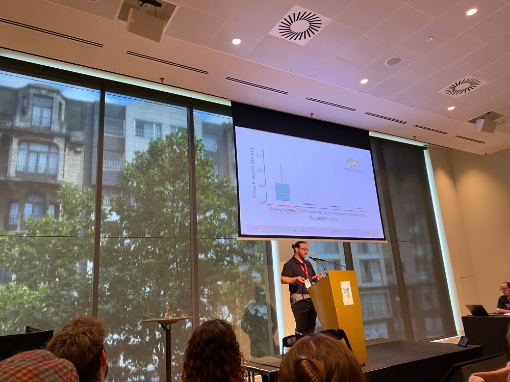 A scientist presenting a slide with several box plots 