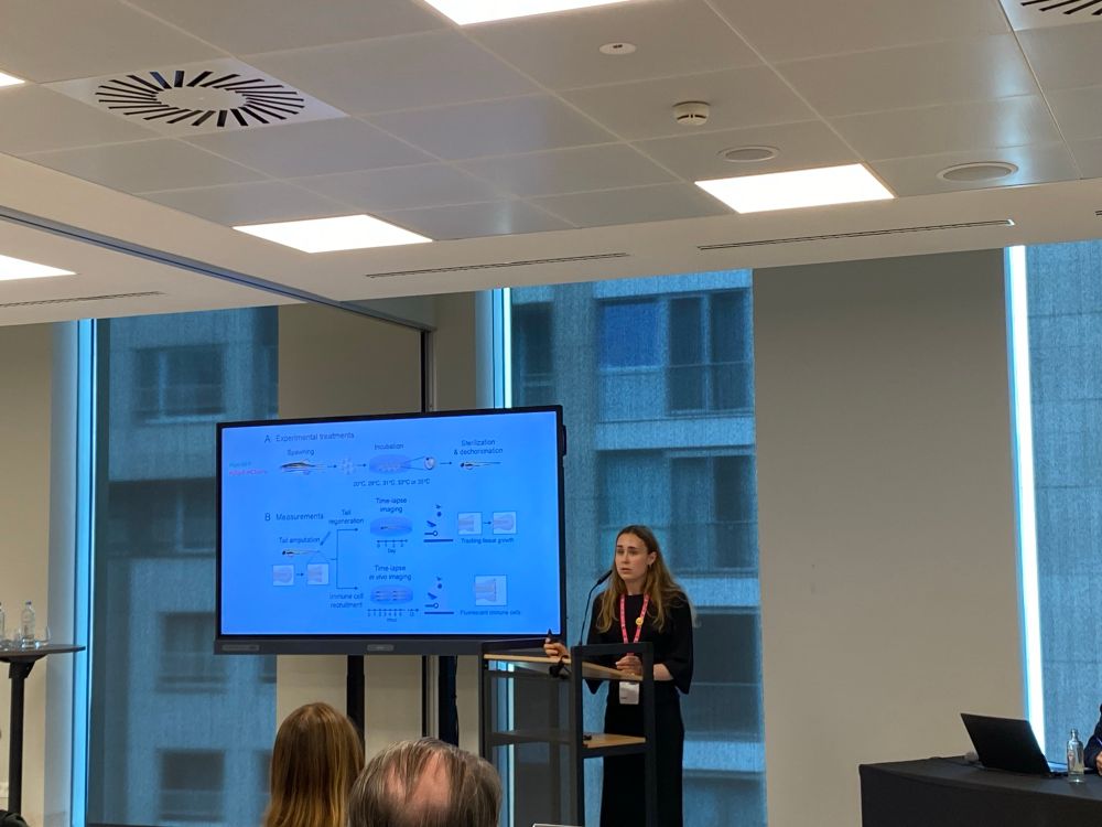 A scientist presents the methods of her research on a large screen