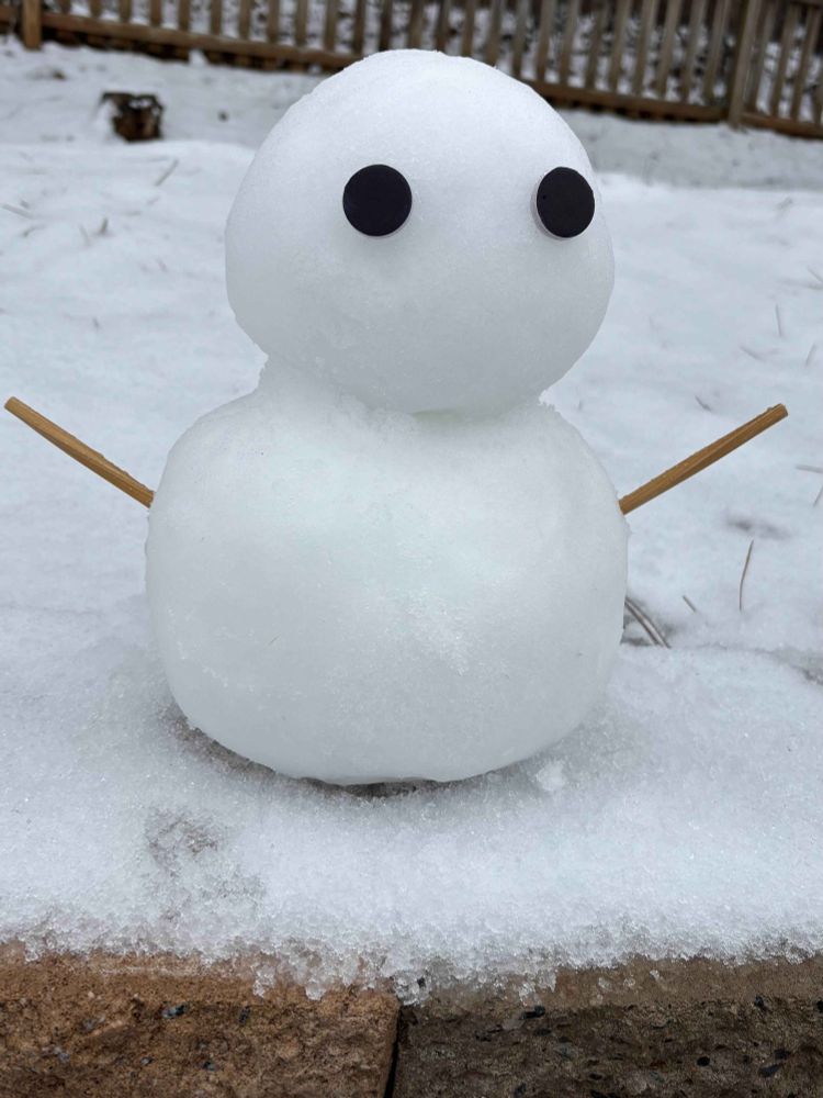 a janky little snowman that human made! it's a 2-tier snowman with old chopsticks as arms & soft little cabinet/door bumpers as eyes :0 