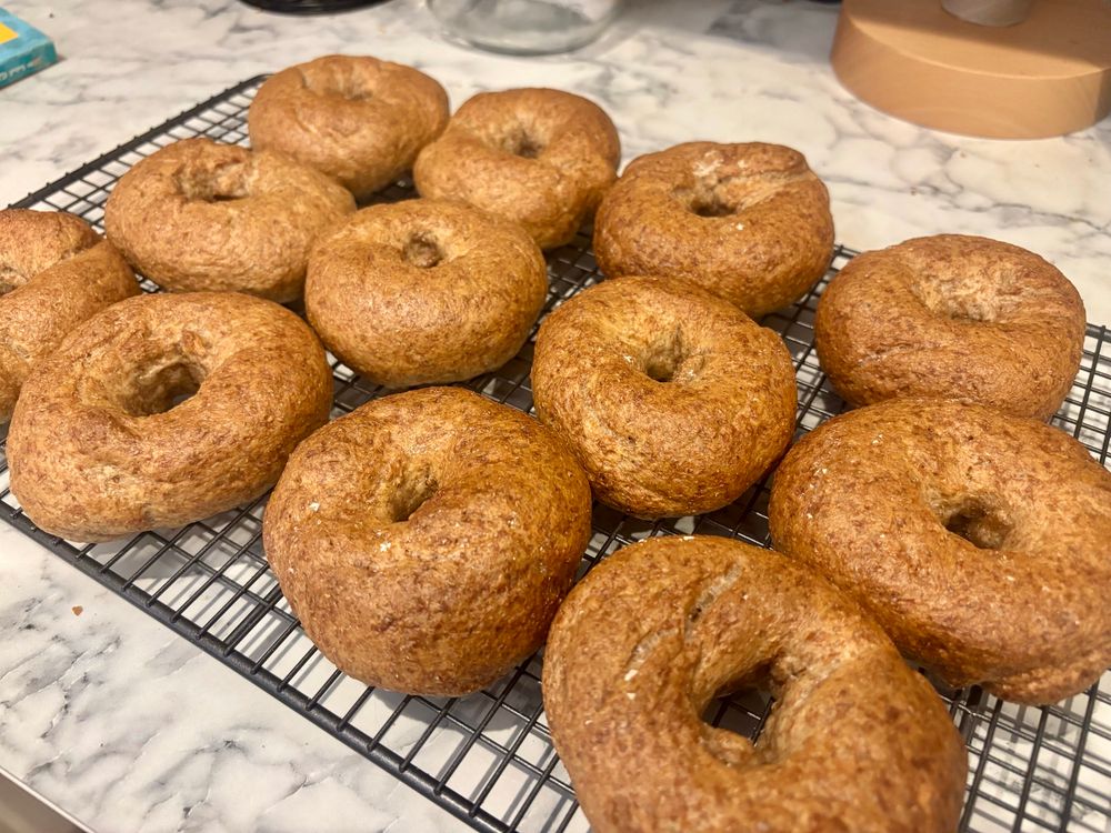 A cooling wire with 12 freshly baked wholemeal bagels. 