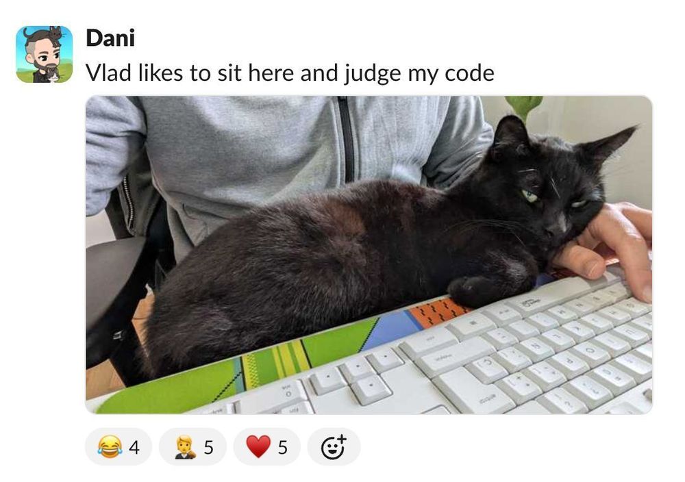 Slack message from Dani: "Vlad likes to sit here and judge my code"
There are laugh and heart reacts 