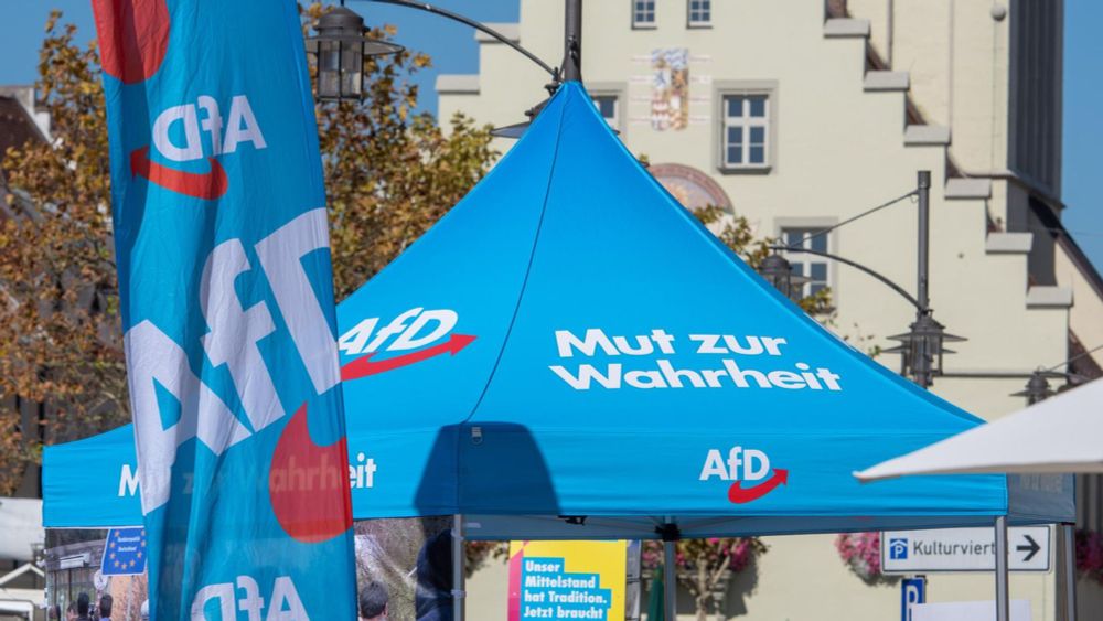 DIW-Analyse: AfD-Politik würde vor allem AfD-Wähler ärmer machen