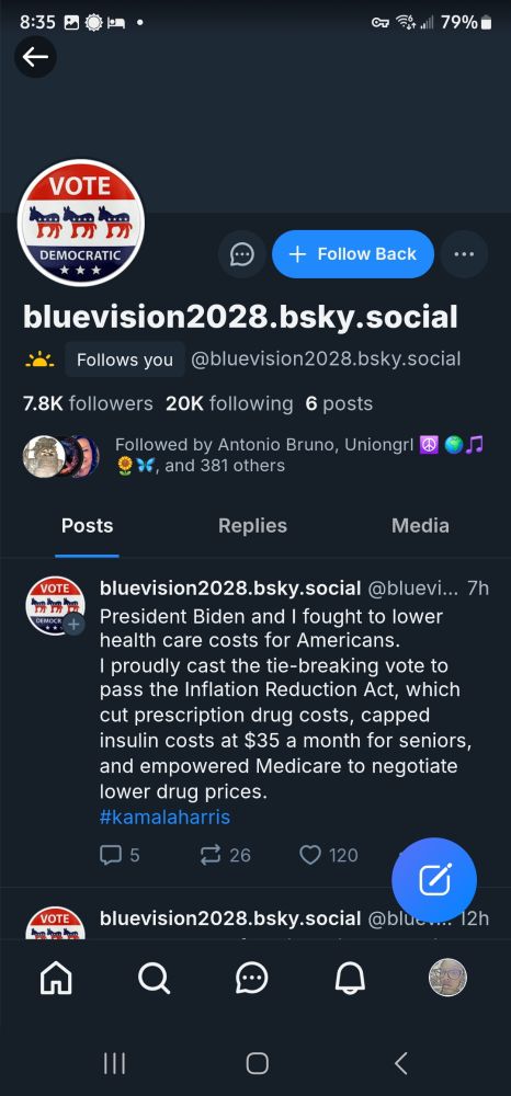 Account one: bluevision2028.bsky.social.