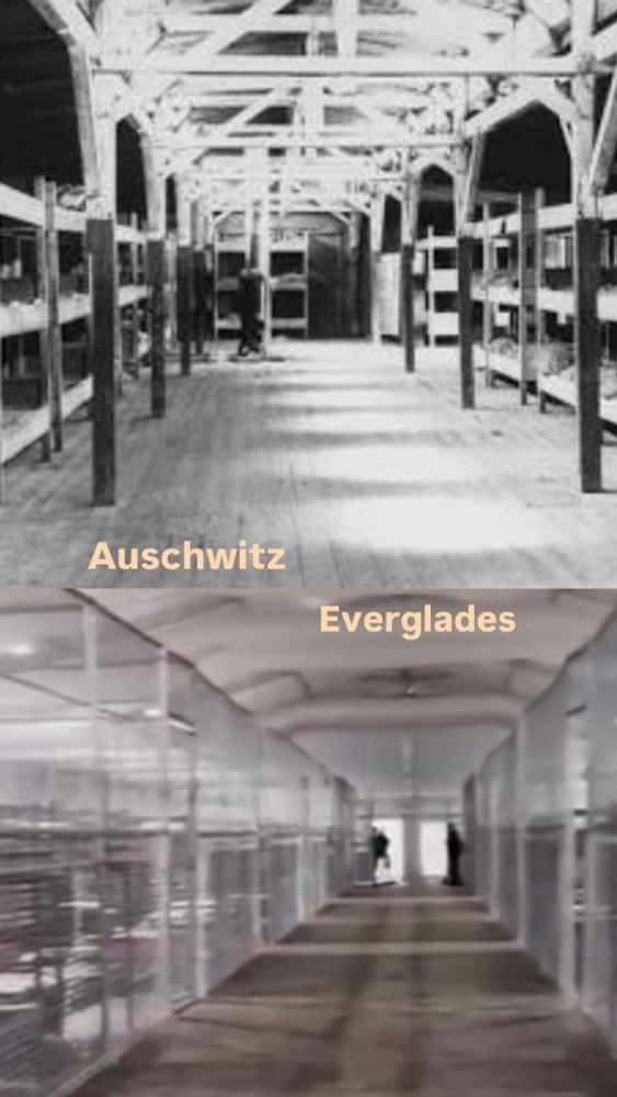 The image is a split comparison. The top half shows a historical black-and-white photo of a wooden barracks interior labeled "Auschwitz," featuring multiple levels of narrow wooden bunks used to house prisoners in the Nazi concentration camp. The bottom half shows a modern color image labeled "Everglades," depicting a detention facility with chain-link fencing, narrow sleeping quarters, and two distant figures, this is the U.S. immigration detention center dubbed "Alligator Auschwitz". The visual comparison appears to be drawing a provocative parallel between past and present systems of incarceration or detention.
