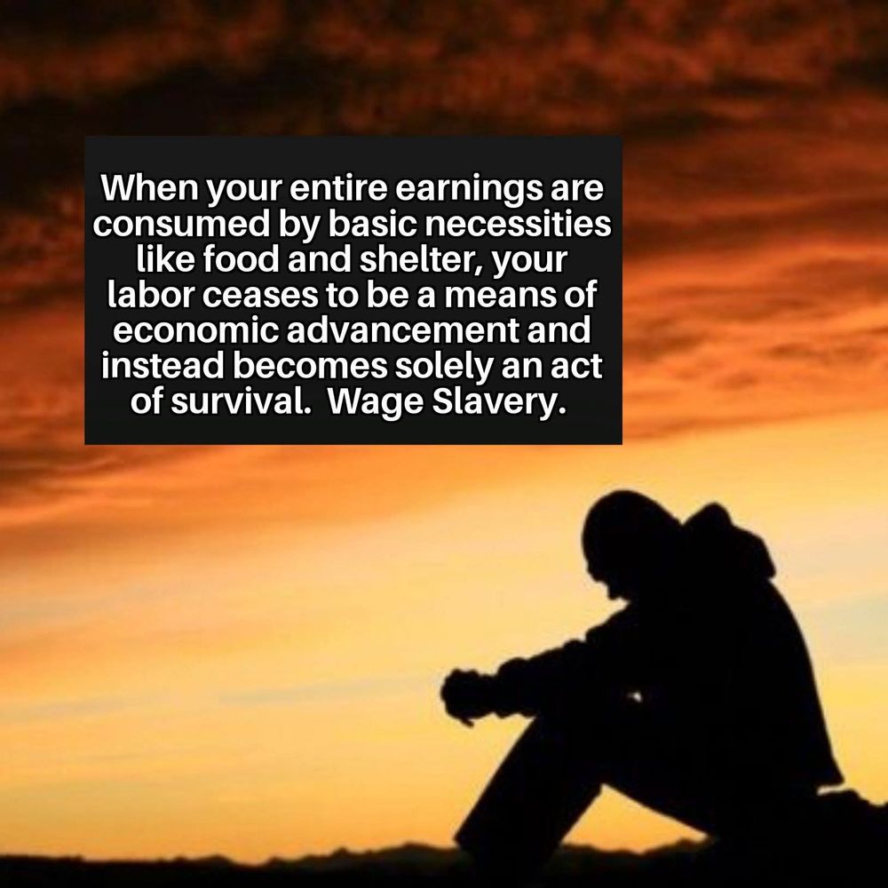 A silhouetted figure sits hunched over in apparent exhaustion or contemplation against the backdrop of a vivid orange and yellow sunset. Overlaid text reads: "When your entire earnings are consumed by basic necessities like food and shelter, your labor ceases to be a means of economic advancement and instead becomes solely an act of survival. Wage Slavery."

