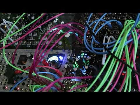 Moog Matriarch x Eurorack x reel-to-reel tape ✧ meditative ambient sequence
