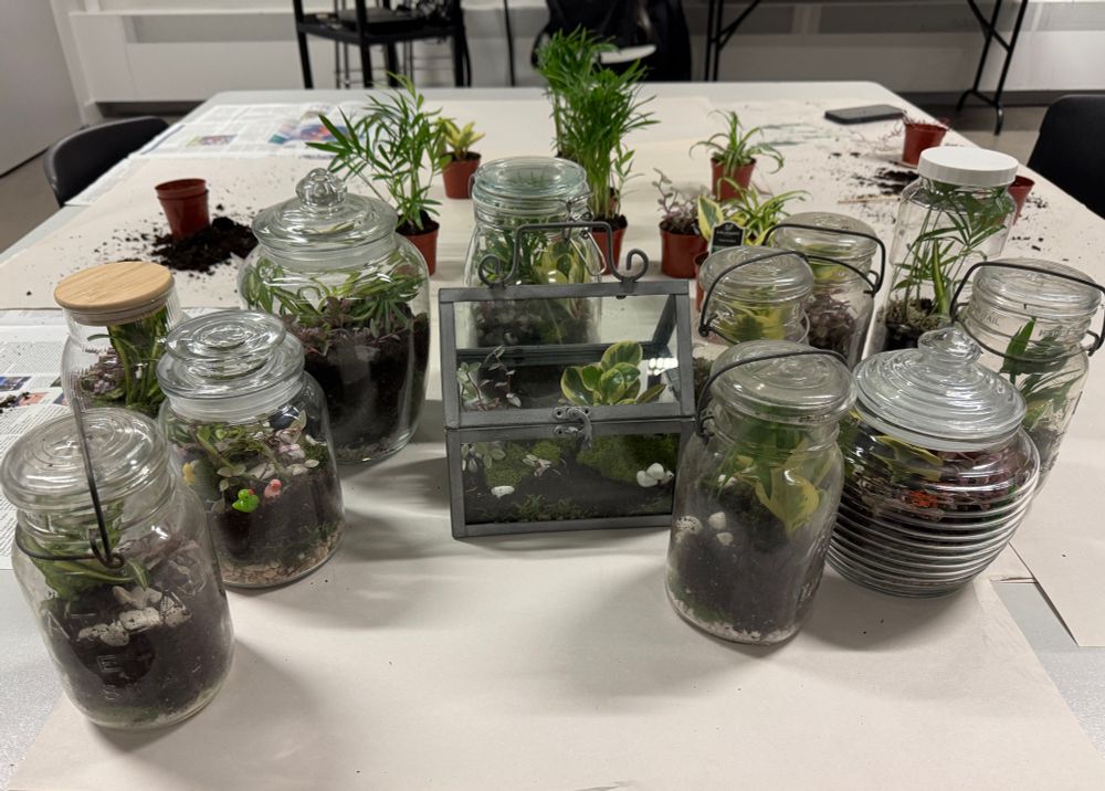 A table with several glass jars that have been turned into terrariums with plants, soil, and rocks.