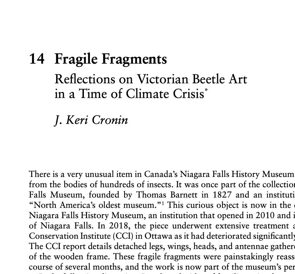 Screenshot of a page of a book, the first page of chapter 14. It is called “Fragile Fragments: Reflections on Victorian Beetle Art in a Time of Climate Crisis.”