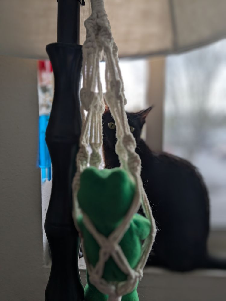 Foreground is a stuffed frog in a macrame plant holder attached to a black floor lamp with a pale shade. Background is a blurred window with generic suburban scenery, and the mid ground is a red and blue glass wind chime against the window frame and a black cat looking through the plant holder at the camera. The focal point of the picture is the eye of the cat through the macrame knots 