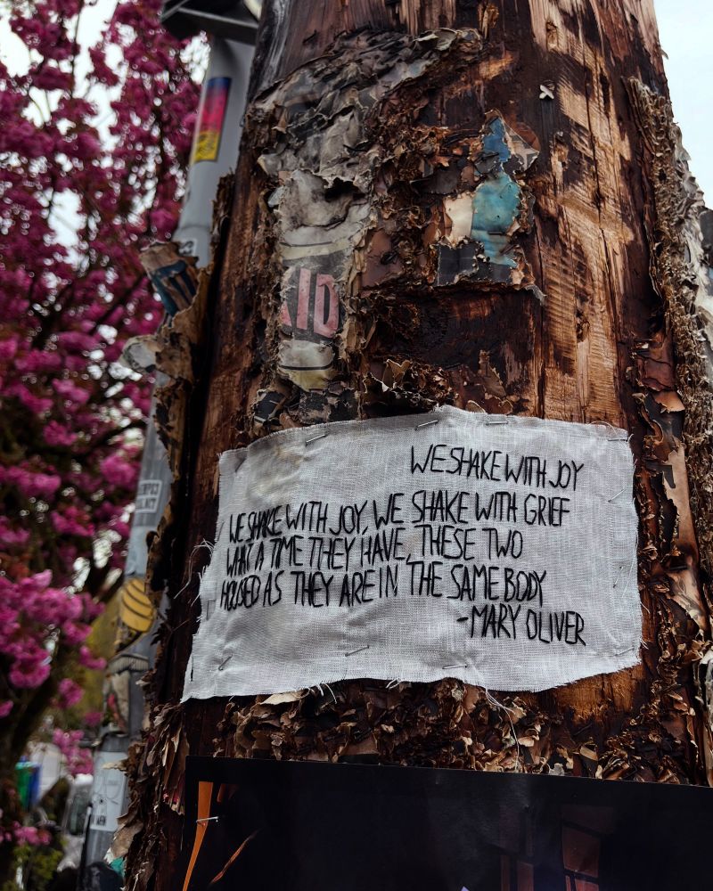 A scrap of white fabric is stapled to a utility pole covered in staples and old flyers, with the words:
“We Shake with Joy - Mary Oliver 

We shake with joy, we shake with grief

What a time they have, these two 

Housed as they are in the same body.”
stitched with black thread. There is a tree behind the pole with pink blossoms.