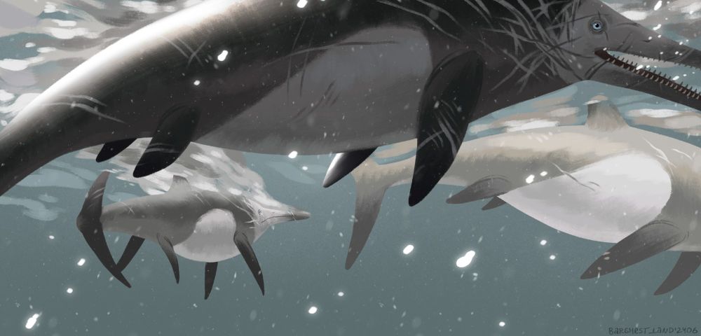 A digital drawing of a three temnodontosaurus swimming past the camera. They have a lot of scars, especially near the head - Risso's dolphins were my inspiration for it. 
