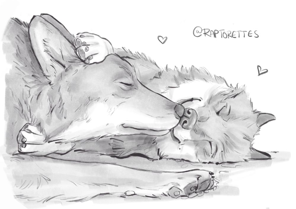 A black and white brush pen drawing of two wolves lying next to each other, nuzzling and booping their noses together. The one has its paws wrapped around the others face and neck in a loving gesture.