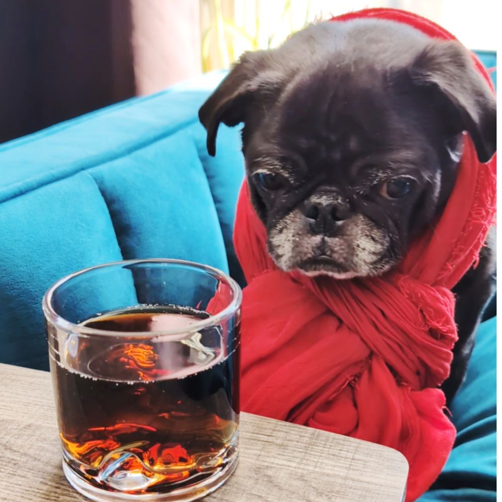 Lucy looking at her stiff drink. 
