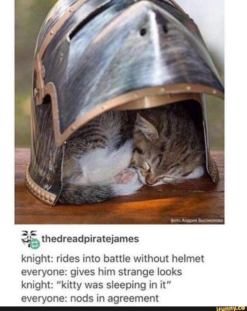 Photo of medieval helmet with its front visor lifted. A small tabby kitten is tucked snugly inside, asleep. The caption reads, "knight: rides into battle without helmet; everyone: gives him strange looks; knight: 'kitty was sleeping in it'; everyone: nods in agreement"