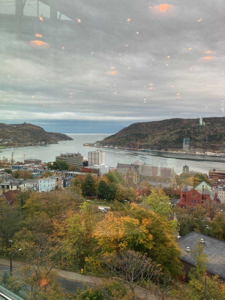 View of St. John’s harbour from the Rooms café, showing the colourful houses, the autumn trees, the cliffs and signal hill.