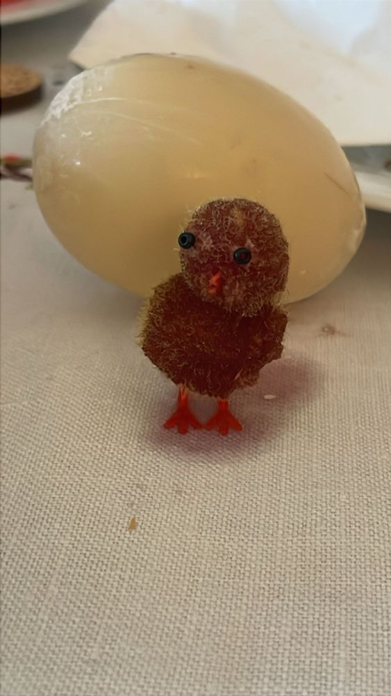 Pollet de la nona de pasqua després de passar per una copa de vi