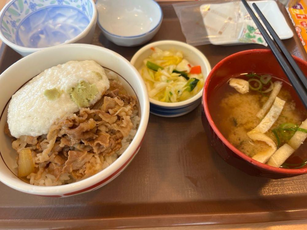 すき家 山かけわさび牛丼