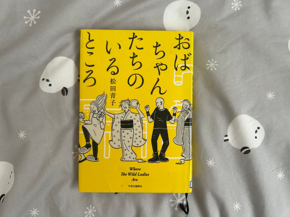 おばちゃんたちのいるところ
松田青子