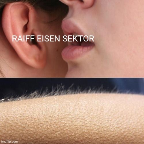 whilsper goodebumps meme
obere: hälfte man sieht jemandes mund der in jemandes ohr flüstert. uebet ohr und mund der text 'raiff eisen sektor'
daruntet ein arm mit gänsehaut/abstehenden haaren