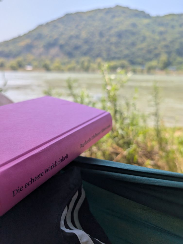 jemand liegt in einer hängematte mit dem buch "die echtere wirklichkeit" von raphaela edelbauer. im hintergrund unscharf die donau vor einem bewaldeten hügel