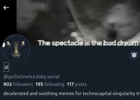 das profil des users @guillontinetea.bsky.social