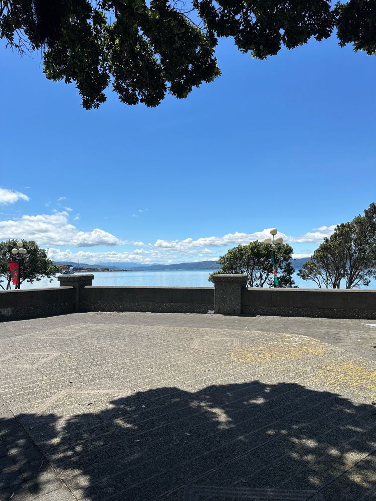 Sunny afternoon overlooking Wellington harbour.