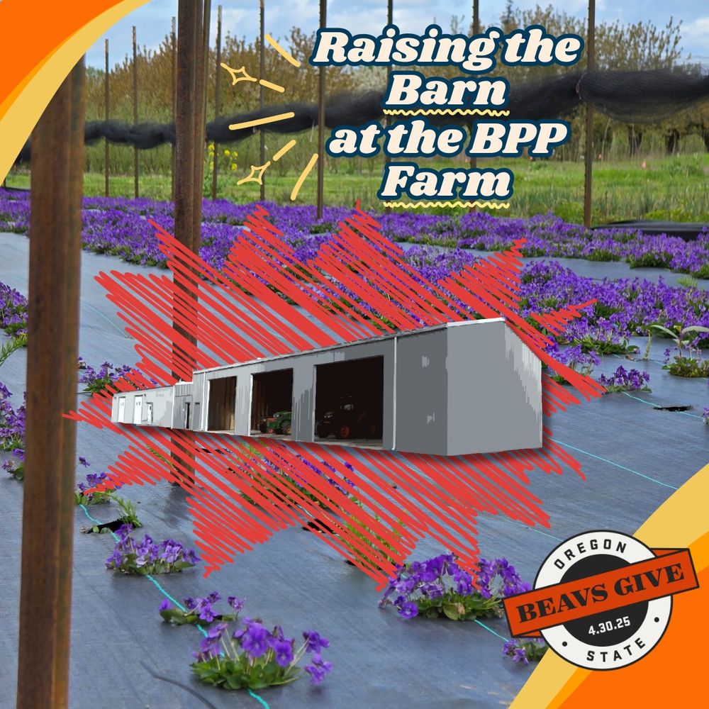 Oregon State University's Department of Botany and Plant Pathology, Dam Proud Day 2025: Raising the Barn at the BPP Farm
