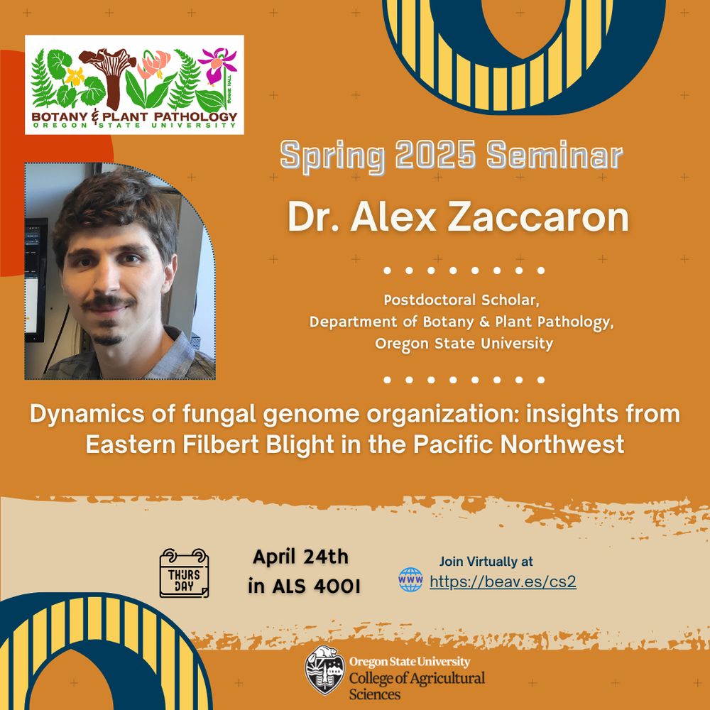 Dr. Alex Zaccaron