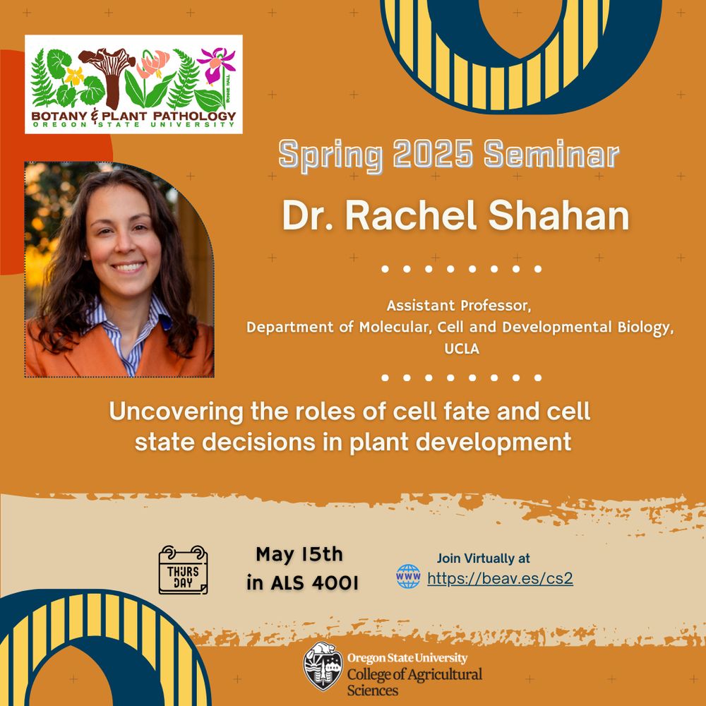 Dr. Rachel Shahan presents "Uncovering the roles of cell fate and cell state decisions in plant development" at OSU BPP's Spring 2025 Seminar Series