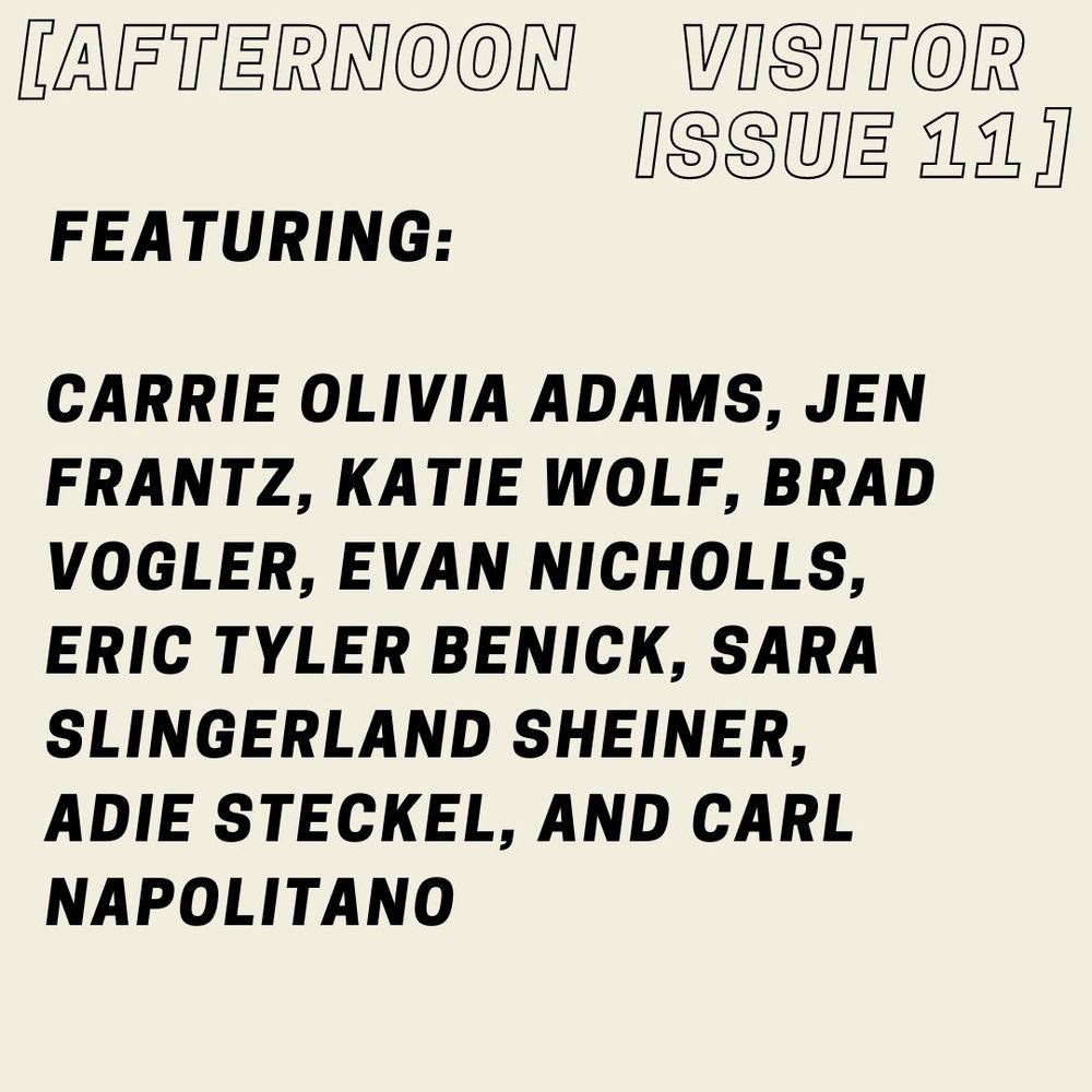 Afternoon Visitor Issue 11 promotional image. Includes list of contributors to the issue. Contributor list: Carrie Olivia Adams, Jen Frantz, Katie Wolf, Brad Vogler, Evan Nicholls, Eric Tyler Benick, Sara Slingerland Sheiner, Adie Steckel, and Carl Napolitano.