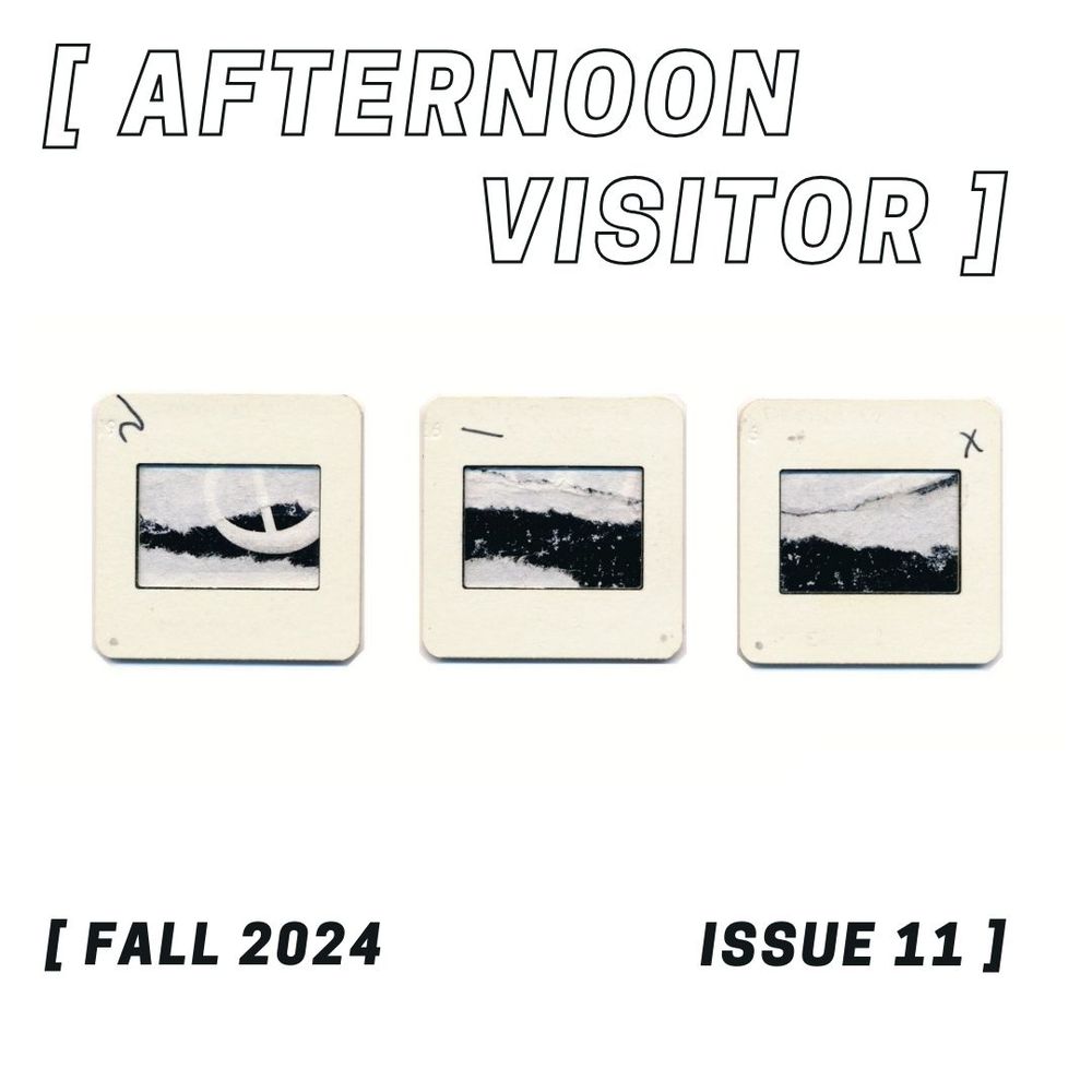 Cover image for issue 11, fall 2024, of Afternoon Visitor. Image is a black and white triptych composed of collages by the artist Katie Wolf.