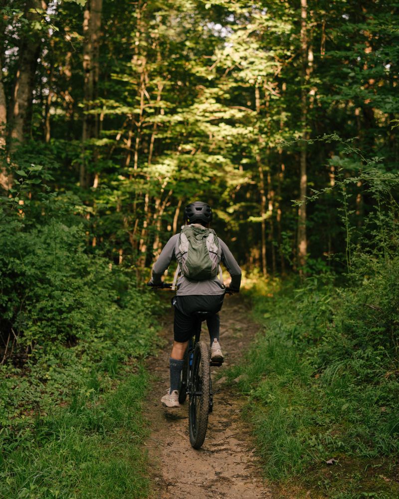 A single mountain bike on a dirt trail heads into a dense forest. 