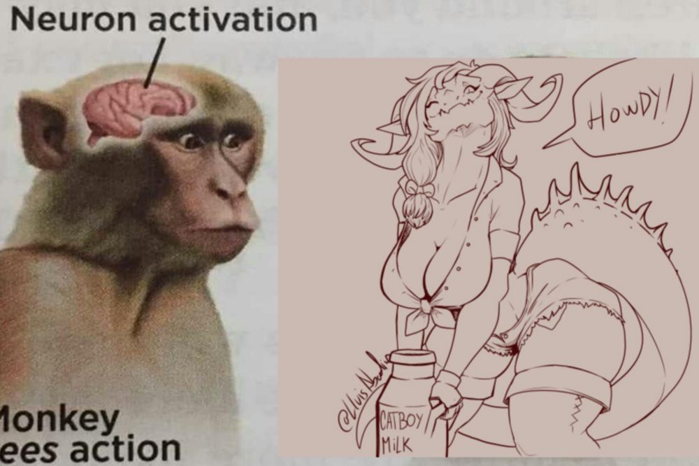 Comment image