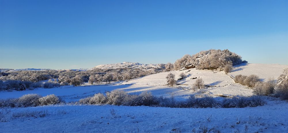 Winter in Norway. Snowy landscape, no clouds, blue sky. Trees, mountains and landscape are full of snow
