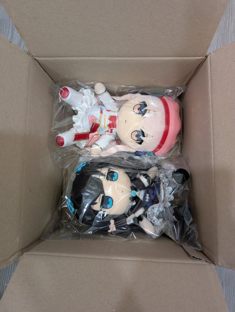 the Arcaea fumo
Arcaea and Tairitsu
in plastic bag