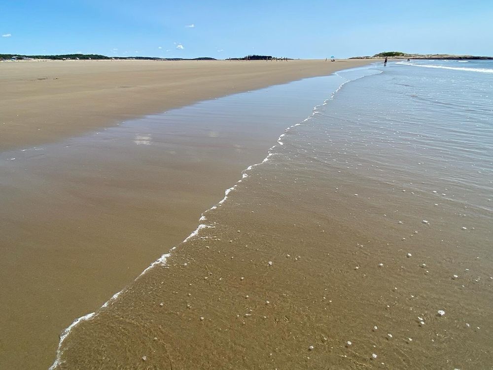 Water receding from smooth, golden sand. A few people walking/standing in the distance.