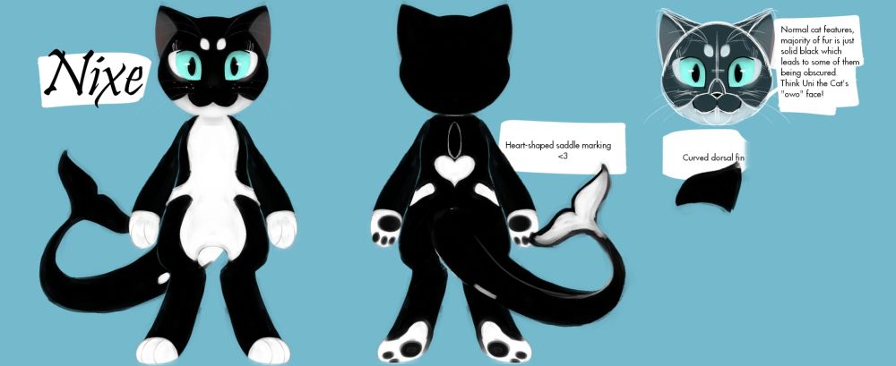 A reference sheet of Nixe, a cat/orca hybrid. Most of their features are feline, aside from their fluked whale tail and dorsal fin, as well as typical black and white orca markings.